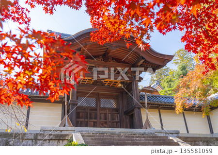 光明寺 勅使門 秋 紅葉の季節 光明寺 勅使門 秋 紅葉の季節 135581059