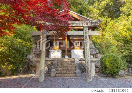 光明寺　鎮守社　秋　紅葉の季節 135581062