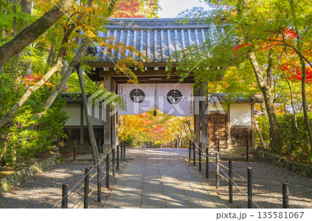 光明寺 薬医門 秋 紅葉の季節 光明寺 薬医門 秋 紅葉の季節 135581067