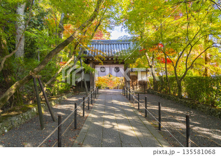 光明寺　薬医門　秋　紅葉の季節 135581068