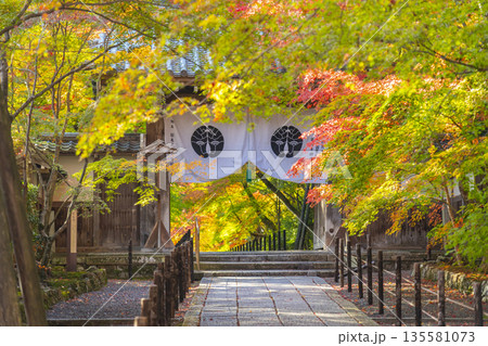 光明寺 薬医門 秋 紅葉の季節 光明寺 薬医門 秋 紅葉の季節 135581073