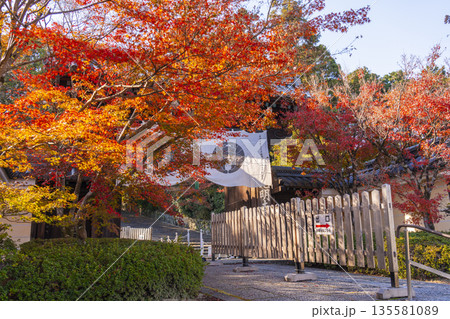 光明寺　総門　秋　紅葉の季節 135581089