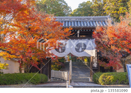 光明寺 総門 秋 紅葉の季節 光明寺 総門 秋 紅葉の季節 135581090