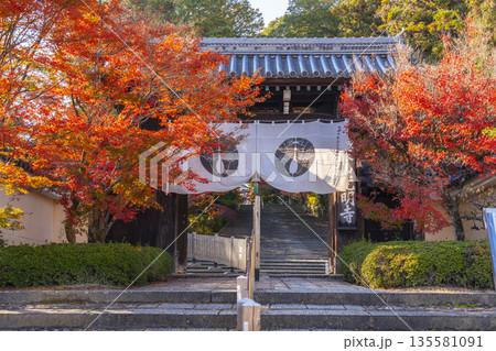 光明寺　総門　秋　紅葉の季節 135581091