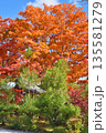 常照寺の紅葉 常照寺の紅葉 135581279