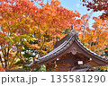 常照寺の紅葉 常照寺の紅葉 135581290