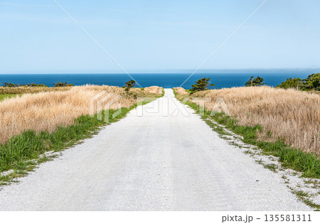 北海道稚内市宗谷岬　人気の観光名所　宗谷岬の「白い道」と青い海 135581311