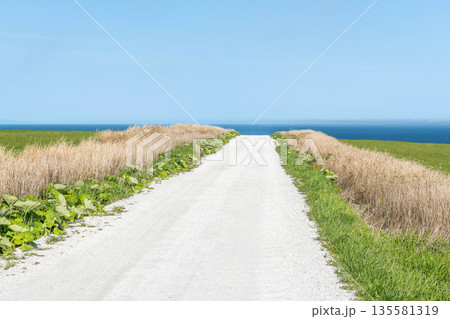 北海道稚内市宗谷岬　人気の観光名所　宗谷岬の「白い道」 135581319