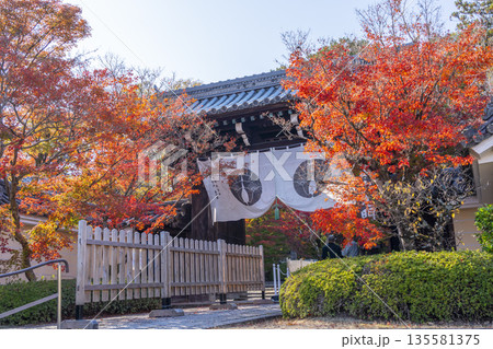 光明寺 総門 秋 紅葉の季節 光明寺 総門 秋 紅葉の季節 135581375