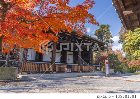 光明寺　御影堂　秋　紅葉の季節 135581381