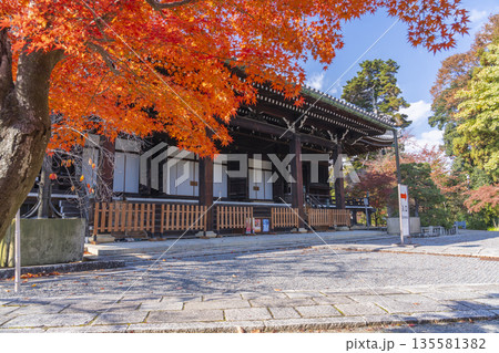光明寺 御影堂 秋 紅葉の季節 光明寺 御影堂 秋 紅葉の季節 135581382