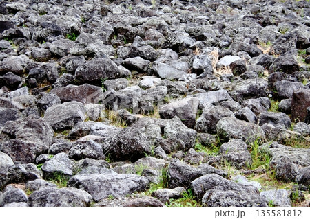 溶岩石が広がる風景 135581812