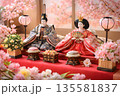 桜に囲まれたひな人形の室内飾り　ひな祭りイメージ 135581837