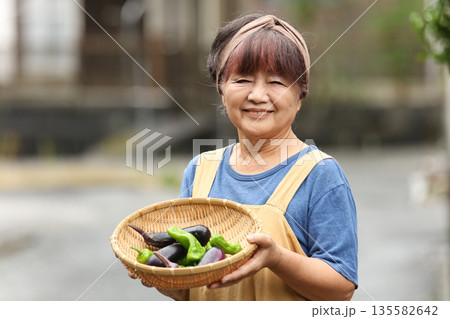 収穫した野菜を持つ女性 収穫した野菜を持つ女性 135582642