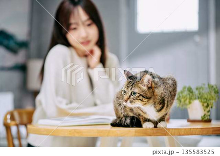 テーブルの上で猫を撫でて愛でる女性 135583525