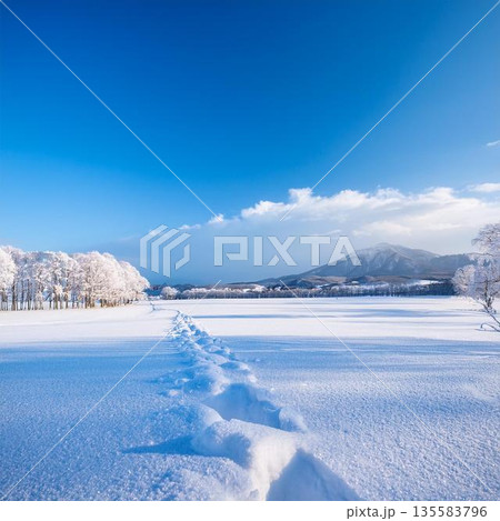 一面が雪で覆われた広大な北海道の風景。白銀の世界に続く広い平野と、遠くにそびえる雪山 135583796