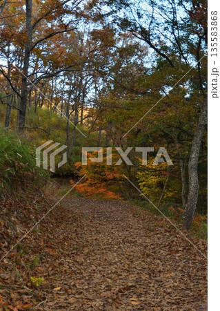 マゼノ渓谷の紅葉 マゼノ渓谷の紅葉 135583868