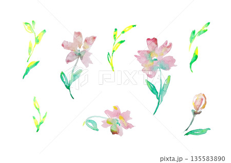 Watercolor Pink Floral Elements Set Isolated Watercolor Pink Floral Elements Set Isolated 135583890