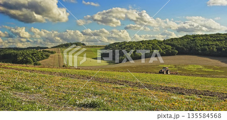 Summer in the Bourgogne, France. 135584568
