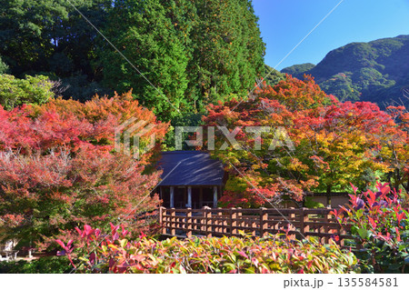 大川内山の紅葉 大川内山の紅葉 135584581