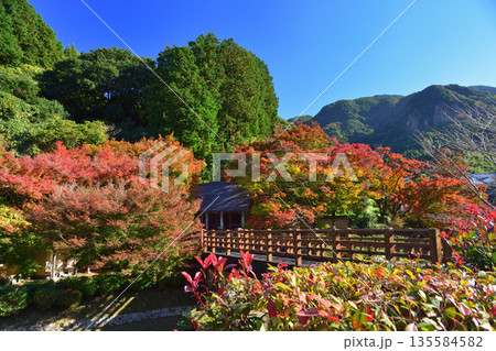 大川内山の紅葉 大川内山の紅葉 135584582