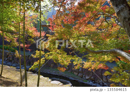 大川内山の紅葉 大川内山の紅葉 135584615