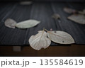 落ち葉 135584619