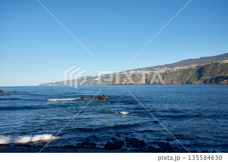 Martianez promenade with spectacular views of the volcanic rocks and the vast blue ocean Martianez promenade with spectacular views of the volcanic rocks and the vast blue ocean 135584630