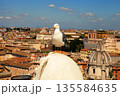 Seagull on the outlook above historical center of Rome. Seagull stands over the roofs of Roma. Seagull watching Rome in summer. Bird on rooftops in the historic city center. 135584635