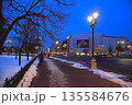 Bucharest, Romania - January 9, 2019: Winter nightscape in Bucharest. Winter alley in the center of Bucharest. 135584676