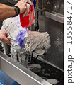 Wet white dog being bathed with soap in stainless steel tub 135584717