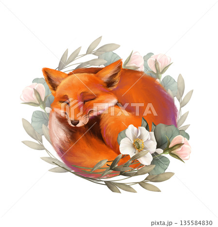 Hand-drawn illustration of a cute fox curled up and sleeping in a wreath of flowers. Design for floral or animal-themed projects. 135584830