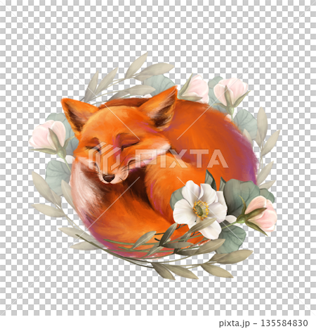 Hand-drawn illustration of a cute fox curled up and sleeping in a wreath of flowers. Design for floral or animal-themed projects. 135584830