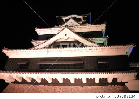 歴史と自然が調和する加藤清正ゆかりの熊本城《熊本県》 歴史と自然が調和する加藤清正ゆかりの熊本城《熊本県》 135585134