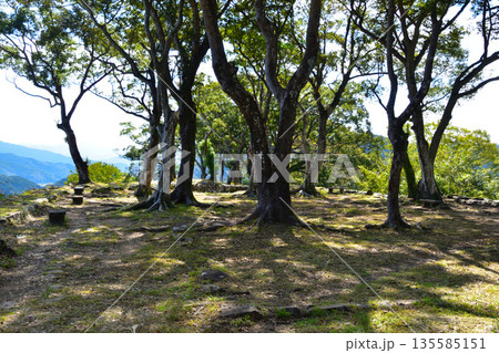 佐伯城　本丸 135585151