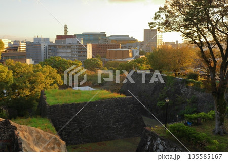 歴史と自然が調和する加藤清正ゆかりの熊本城《熊本県》 135585167