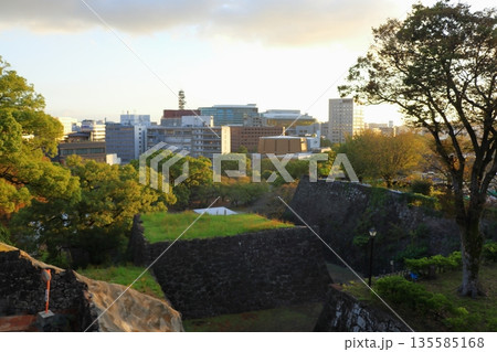 歴史と自然が調和する加藤清正ゆかりの熊本城《熊本県》 135585168