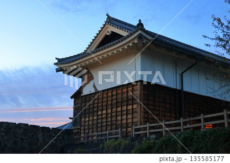 歴史と自然が調和する加藤清正ゆかりの熊本城《熊本県》 135585177