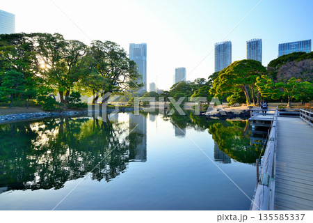 浜離宮恩賜庭園  海手お伝い橋 135585337