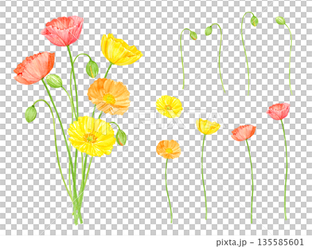 Watercolor poppy bouquet set 135585601