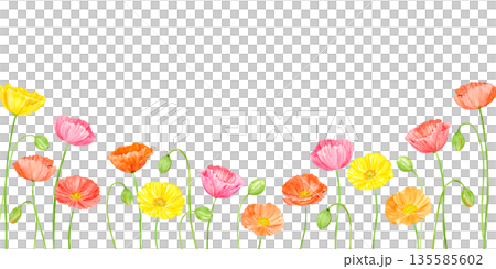 色彩繽紛的水彩罌粟花框 135585602