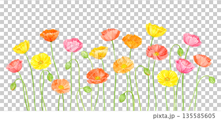 水彩畫中色彩繽紛的罌粟花田 135585605