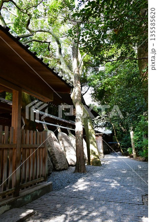 冬の熱田神宮 冬の熱田神宮 135585620