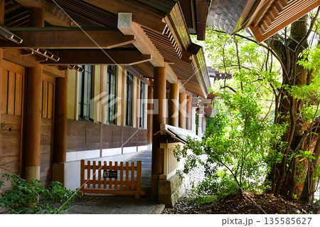 冬の熱田神宮 135585627