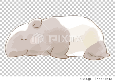 一組柔和的水彩畫，為一天畫下句點 | 睡著的貘 135585648