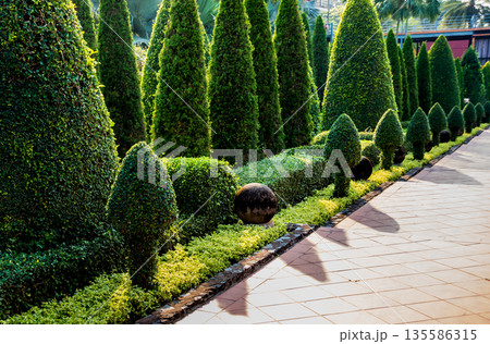 Luxury landscape design of the tropical garden. Luxury landscape design of the tropical garden. 135586315