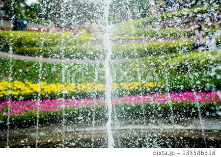 Luxury landscape design of the tropical garden. Beautiful view of tropical landscape. Watering 135586318