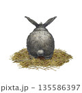 Gray rabbit with a short tail and large ears sits on a pile of hay, viewed from behind. Watercolor illustration of the animal in a realistic style for Easter cards, banners, postcards, and wallpaper. 135586397