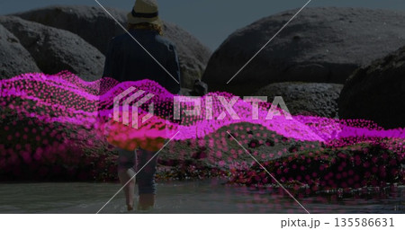 Walking straw hat denim clad woman wading toward boulders in shallow tidepool, magenta mesh overlay 135586631