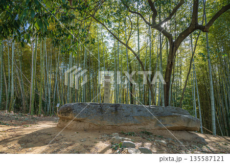 明日香村の史跡　酒船石　奈良県 135587121